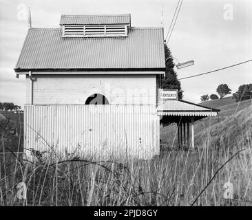 A 1980 black and white, medium format photograph of the gentlemen's toilets at the western end of the railway station in the historic town of Carcoar in Central Western New South Wales, Australia. In the foreground are overgrown native grasses and blackberry vines. The railway line to Carcoar was completed in 1888, when the station building and residence opened. the buildings and surrounds are heritage listed. Stock Photo