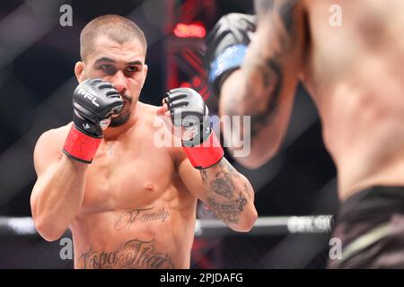 Las Vegas, NV, USA. 1st Apr, 2023. Featherweight Gabriel Braga looks at his opponent during the PFL 1 Regular Season Fight Night at The Theater inside the Virgin Hotel on April 1, 2023 in Las Vegas, NV. Christopher Trim/CSM/Alamy Live News Stock Photo