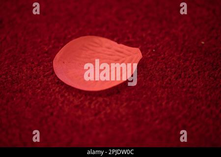 Fake rose petal on red carpet at a wedding Stock Photo