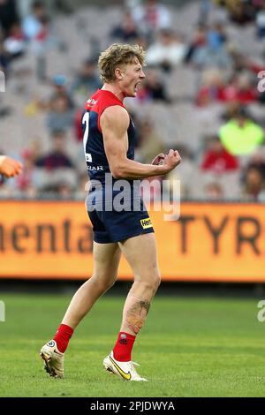 2023 AFL round 3: Sydney Swans vs Melbourne Demons match day guide and  preview