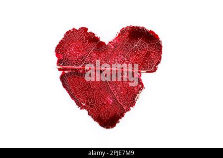 Red paint heart with leaf skeleton pattern, macro, isolated on white background Stock Photo