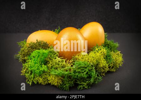 Three golden eggs in a moss lichen nest, on black background  soft focus close up Stock Photo