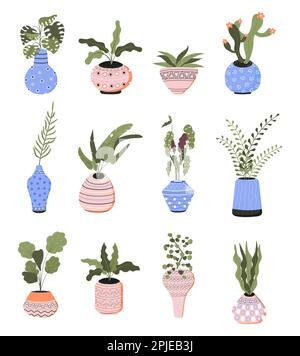 Jade Plants in Pots Vector Drawing Black and White Seamless Pattern ...