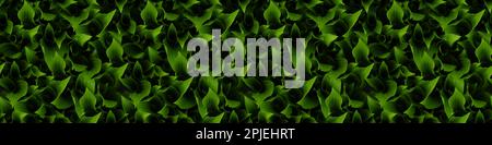 Seamless long banner, Young hosta leaves in spring. Natural background with hosta leaves. High resolution. Full depth of field. Stock Photo