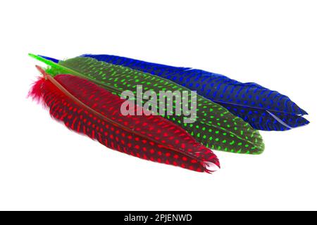 Colorful collection feathers isolated on white background Stock Photo