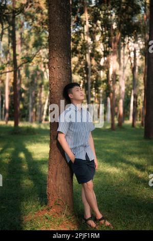 Young asian male leaning tranquil against pine tree in the forest Stock Photo
