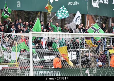 Lommel, Belgium. 02nd Apr, 2023. Illustration picture shows and Virton's supporters pictured during a soccer match Lommel SK and Royal Excelsior Virton, Sunday 02 April 2023 in Lommel, on day 5 of the Relegation Play-offs of the 2022-2023 'Challenger Pro League' 1B second division of the Belgian championship. BELGA PHOTO JILL DELSAUX Credit: Belga News Agency/Alamy Live News Stock Photo
