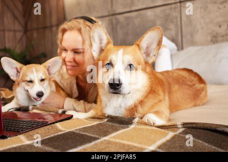 woman uses red laptop, works from home, freelances, watches movie with corgi dogs. Online shopping, communication, commerce. Stock Photo