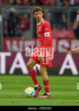 Munich, Germany. Apr 01, 2023 Thomas MUELLER, MÜLLER, FCB 25  in the match FC BAYERN MUENCHEN - BORUSSIA DORTMUND 4-2 1.German Football League on Apr 01, 2023 in Munich, Germany. Season 2022/2023, matchday 26, 1.Bundesliga, FCB, BVB, München, 26.Spieltag. © Peter Schatz / Alamy Live News    - DFL REGULATIONS PROHIBIT ANY USE OF PHOTOGRAPHS as IMAGE SEQUENCES and/or QUASI-VIDEO - Stock Photo