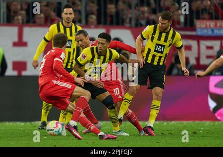 Munich, Germany. Apr 01, 2023 Jude Bellingham , Nr. 22 BVB   Salih Özcan, BVB 6 Mats Hummels, BVB 15 compete for the ball, tackling, duel, header, zweikampf, action, fight against Leroy SANE, FCB 10 Thomas MUELLER, MÜLLER, FCB 25  in the match FC BAYERN MUENCHEN - BORUSSIA DORTMUND 4-2 1.German Football League on Apr 01, 2023 in Munich, Germany. Season 2022/2023, matchday 26, 1.Bundesliga, FCB, BVB, München, 26.Spieltag. © Peter Schatz / Alamy Live News    - DFL REGULATIONS PROHIBIT ANY USE OF PHOTOGRAPHS as IMAGE SEQUENCES and/or QUASI-VIDEO - Stock Photo