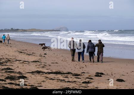 Dunbar, Scotland, UK. 2nd April 2023. People enjoying the Sunny but deceptively cold weather, along the East Lothian coastline at Belhaven Bay. Temperature around 5C in the the breeze. View across the Forth Estuary towards the Bass Rock. Walking the dogs along the beach. Credit: Craig Brown/Alamy Live News Stock Photo