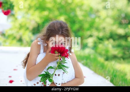 Little cute girl with peony flowers. Child wearing white dress playing in a summer garden. Kids gardening. Children play outdoors. Toddler kid with fl Stock Photo