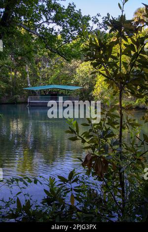 Homosassa, Florida visual data 2