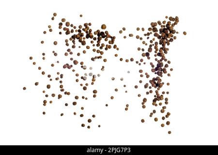 Freeze motion of flying mix of allspice isolated on white background. Concept of flying food. Stock Photo