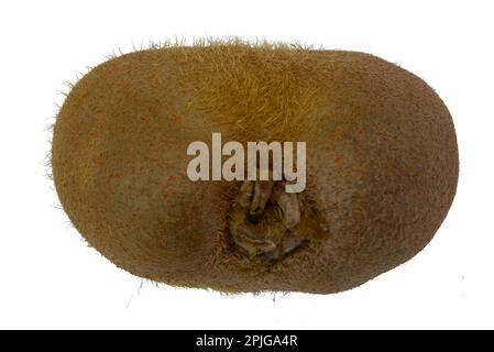 Kiwi clipping path. Ripe whole fruit isolated on white background with clipping path Stock Photo