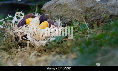 Easter chocolate eggs in the nest hidden in the garden. Different colours of the chocolate side view. Stock Photo