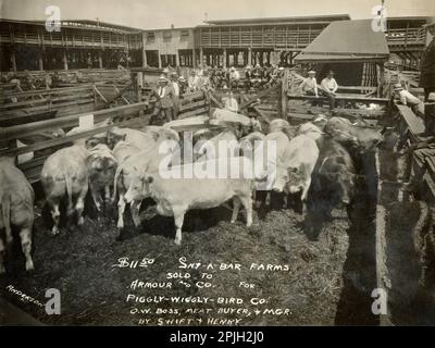Cattle Auction about 1920s, Livestock Auction, Armour and Company, Kansas City Stockyards, Union Stockyards, U.S. Livestock Industry History Stock Photo