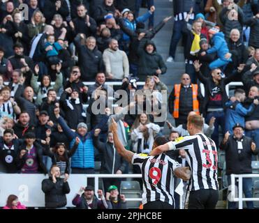 2nd April 2023; St James' Park, Newcastle, England: Premier League Football, Newcastle United versus Manchester United; Newcastle United's Callum Wilson celebrates scoring his side's second goal in the 88th minute to make the score 2-0 with Dan Burn Stock Photo