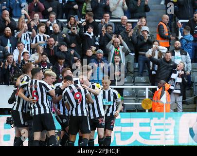 2nd April 2023; St James' Park, Newcastle, England: Premier League Football, Newcastle United versus Manchester United; Newcastle United's Callum Wilson celebrates scoring his side's second goal in the 88th minute to make the score 2-0 with Dan Burn Kieran Trippier Fabian Schar Elliot Anderson Anthony Gordon and  Fabian Schar Stock Photo