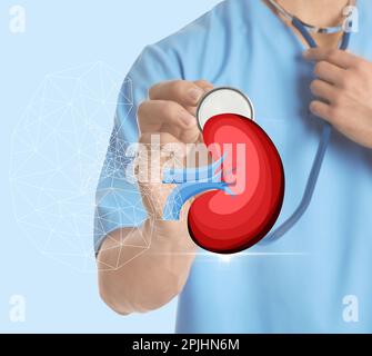 Closeup view of doctor with stethoscope and illustration of kidney on light background Stock Photo