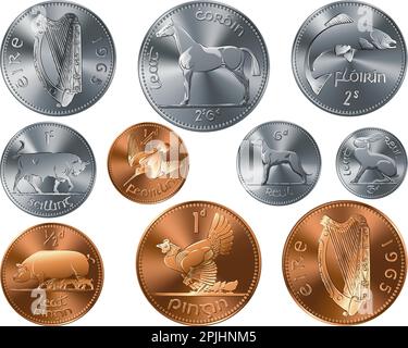 Vector set of Irish money Pre-decimal gold and silver coins Penny Stock Vector