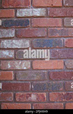 Brick wall with multiple colors, including red, white, black, and brown. Textured background concept. Stock Photo