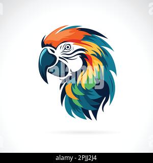 Vector of a macaw bird head design on white background. Wild Animals. Stock Vector