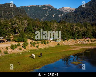 Camping area on the shores of Pichi Traful river, Nahuel Huapi National Park, Seven Lakes Road, Neuqén Province, Argentina Stock Photo