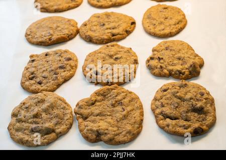 Homemade chocolate chip cookies or biscuits cooling on parchment paper after removing from oven & pan. Stock Photo