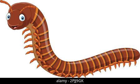 Cartoon centipede isolated on white background Stock Vector