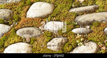Surface with cobblestones and green moss in horizontal format Stock Photo