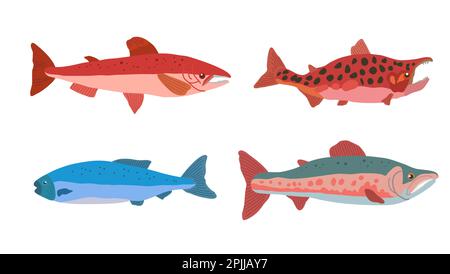 Set of doodle salmon fish in modern original trendy style. Clip art for design, isolated on white. Vector hand drawn illustration. Stock Vector