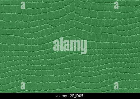 Green reptile skin. crocodile leather texture background Stock Photo