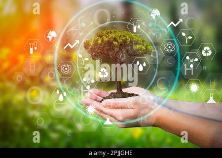Agricultural technologies for growing plants and scientific research in the field of biology and chemistry of nature. Living green sprout in soil. Organic digital background. High quality photo Stock Photo