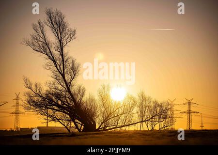 Bremen, Germany. 03rd Apr, 2023. The sun rises over a meadow in the Seehausen district of Bremen. Credit: Sina Schuldt/dpa/Alamy Live News Stock Photo