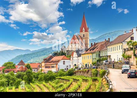 Scenic spring view to Wachau valley with the river Danube and town Weissenkirchen. Austria. Stock Photo