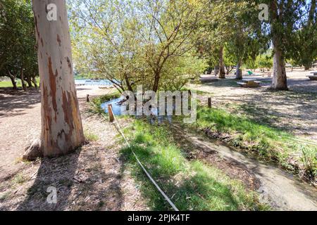 The Yarkon River flows between eucalyptus trees in the Tel Afek Nature Reserve in the Dan - Israel bloc Stock Photo