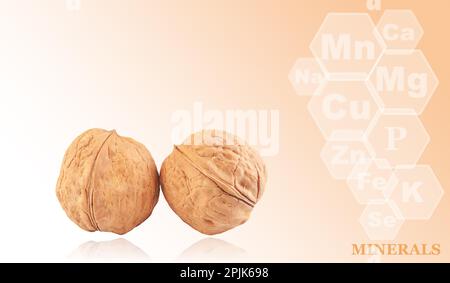 fresh kernels, broken and whole walnuts close-up isolated on color gradient background with markings of minerals found in walnut Stock Photo
