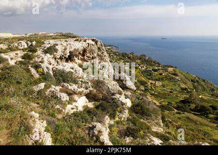 Dingli cliffs, Malta. 23rd Mar, 2023. With their 250 m of altitude, the cliffs of Dingli constitute the highest point of Malta. Stock Photo