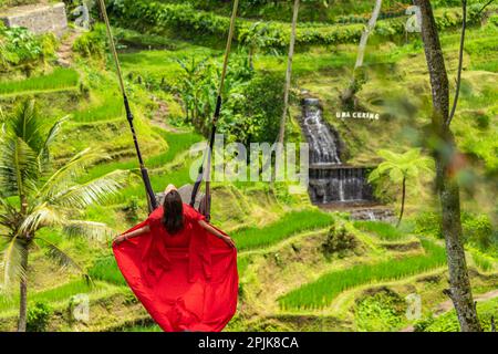 Tegalalang, Ubud, Indonasia - February 14.2023: Backview of a woman in long red dress on a swing at the natural terrace swing fairground rice field Stock Photo