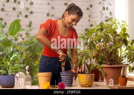 Young woman preparing soil for planting while gardening at home Stock Photo