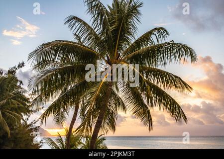 French Polynesia, Moorea. Sunset on island and ocean. Stock Photo