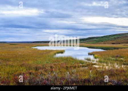 USA, Alaska, Noatak National Preserve. Wetlands in the arctic tundra. Stock Photo