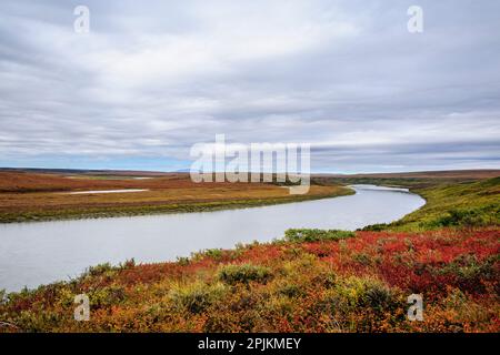 USA, Alaska, Noatak National Preserve. Autumn colors along the Noatak River. Stock Photo