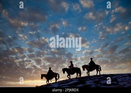 USA, Shell, Wyoming. Hideout Ranch cowboys and cowgirls silhouetted against sunset riding on ridgeline. (PR,MR) Stock Photo