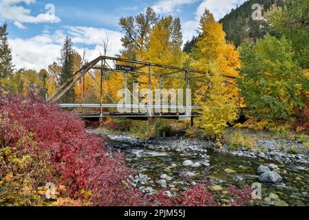 USA, Washington State. Cottonwoods and wild dogwood along Peshastin Creek, off of Highway 97 Stock Photo