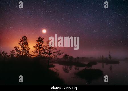 Dramatic Twilight Sky With Rising Planet Venus Over Swamp Landscape. Misty Morning Time. Soft Colors. Amazing Glowing Stars Effects Above Lonely Trees Stock Photo