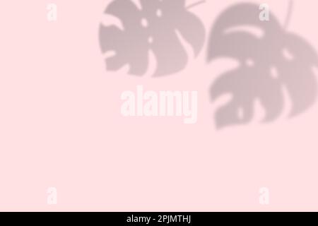 Shadow effects with tropical monstera leaves in the corner. Flat lay background with tropical leaf shadow. Applicable for mockup, template background. Stock Vector