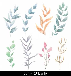 Set of beautiful colorful plant branches with leafs in watercolor paint. Vector Stock Vector