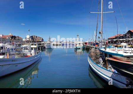 Fishing fleet moored in Victoria dock, Hobart, Tasmania Stock Photo